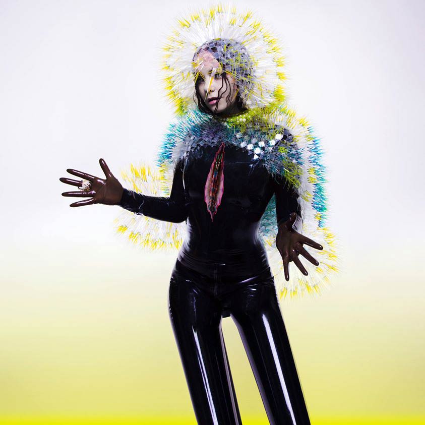 Björk: Vulnicura, la portada del disco
