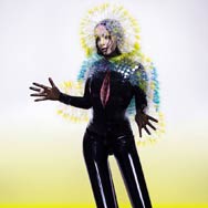 Björk: Vulnicura - portada mediana