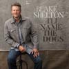 Blake Shelton: I'll name the dogs - portada reducida