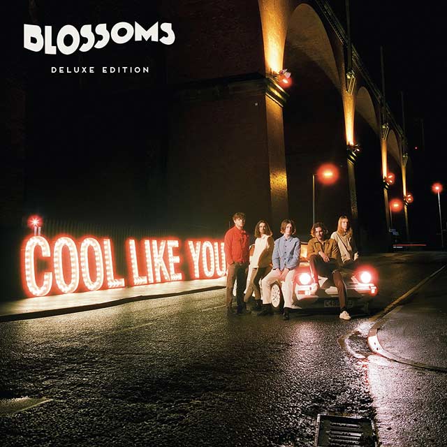 Blossoms: Cool like you - portada
