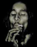 Bob Marley, marihuana