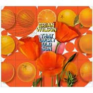 Brian Wilson: That lucky old sun - portada mediana