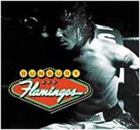 Bunbury: Flamingos - portada mediana