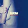 Bush: Lost in you - portada reducida
