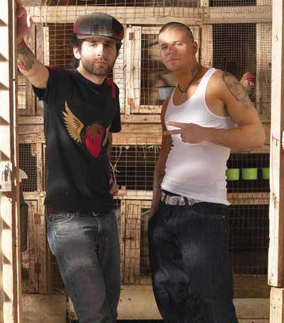 Calle 13
