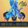 Cash Cash con Sofía Reyes: How to love - portada reducida