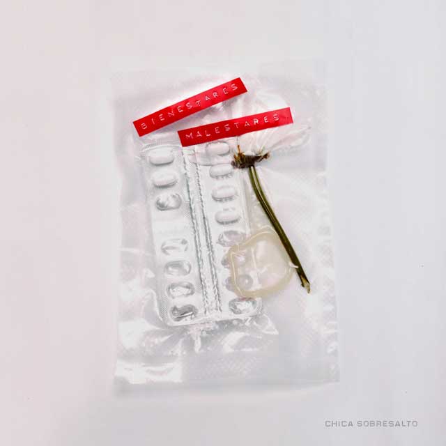 Chica Sobresalto: Bienestares malestares - portada