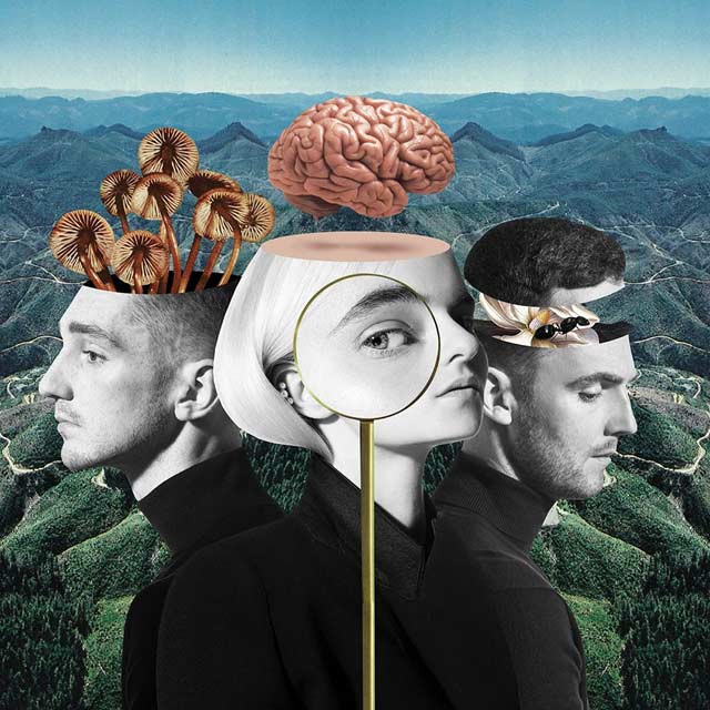 Clean Bandit: What is love? - portada