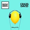 Craig David: Nothing like this - portada reducida
