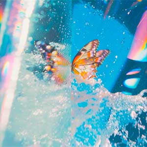 Daphni: Butterfly - portada mediana