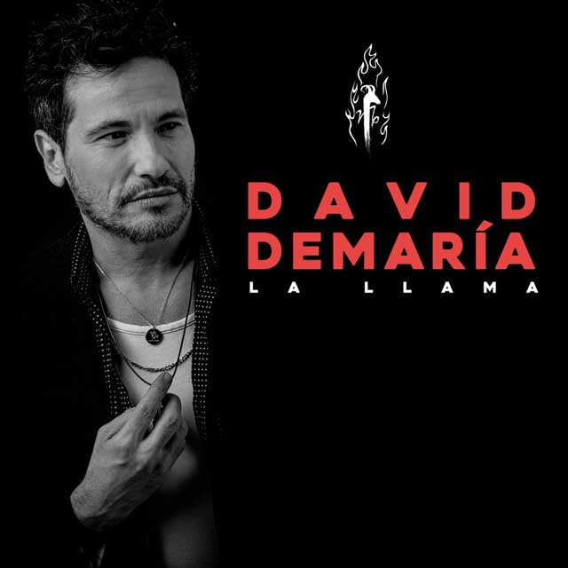 David DeMaría: La llama - portada