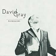 David Gray: Foundling - portada mediana