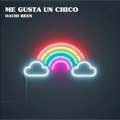 David Rees: Me gusta un chico - portada reducida