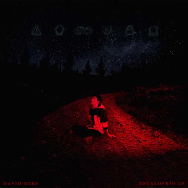 David Rees: Escalofrío - portada