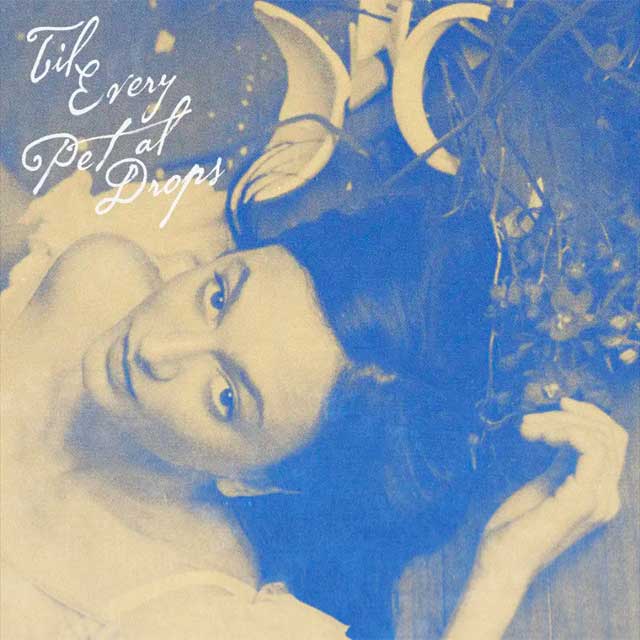 Daya: Til every petal drops - portada