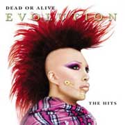 Dead or alive: Evolution - The Hits - portada mediana