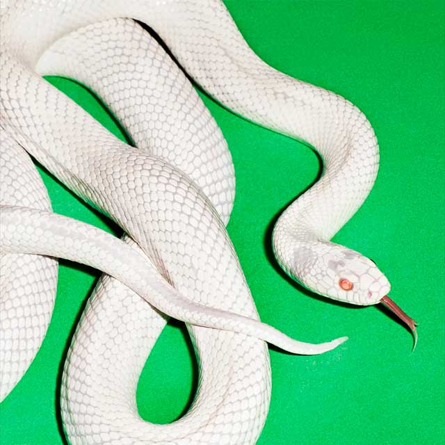 Deftones: Private music - portada