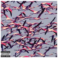 Deftones: Gore - portada mediana