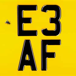 Dizzee Rascal: E3 AF - portada mediana