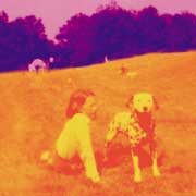 Eels: Blinking Lights And Other Revelations - portada mediana