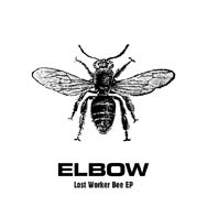 Elbow: Lost worker bee - portada mediana
