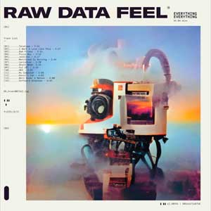 Everything Everything: Raw data feel - portada mediana
