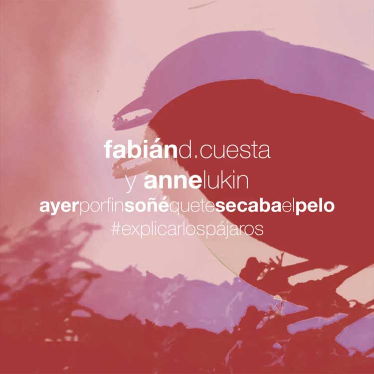 Fabián D. Cuesta con Anne Lukin: Ayer por fin soñé que te secaba el pelo - portada