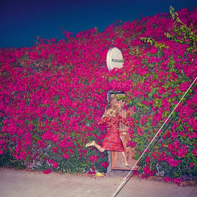 Feist: Pleasure - portada