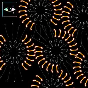 Fito Páez: The golden light - portada mediana