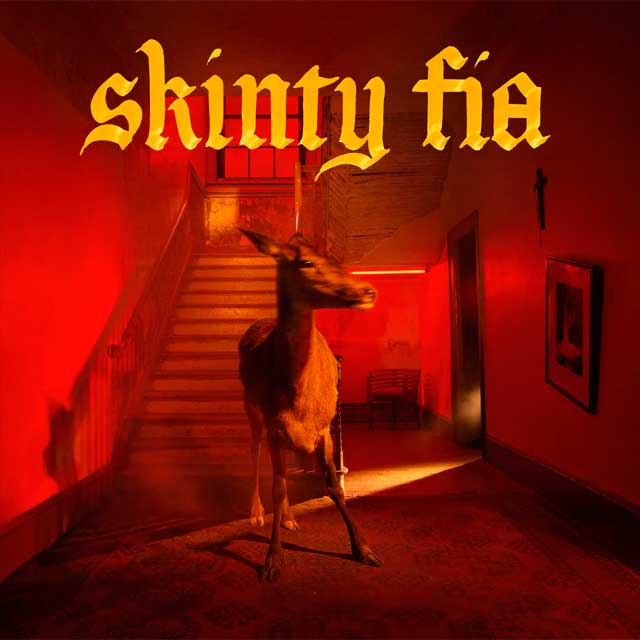Fontaines D.C.: Skinty fia - portada