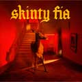 Fontaines D.C.: Skinty fia - portada reducida
