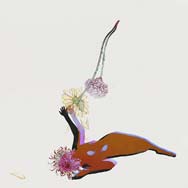 Future Islands: The far field - portada mediana