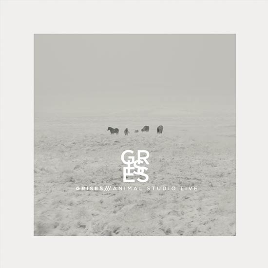 Grises: Animal live studio - portada