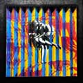 Guns n' Roses: Use your illusion I & II Super Deluxe - portada reducida