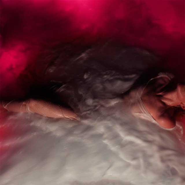 Hayley Williams: Flowers for vases / Descansos - portada