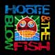 Hootie & The Blowfish - portada reducida