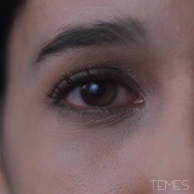iLe: Temes - portada