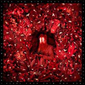 Iron & Wine: Hen's teeth - portada mediana