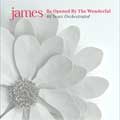 James: Be opened by the wonderful - portada reducida