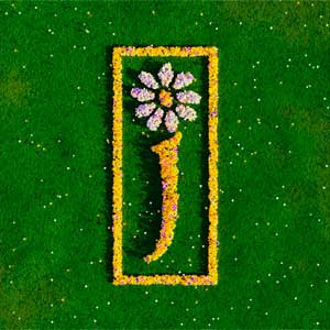 James: Nothing but love: The definitive best of - portada mediana