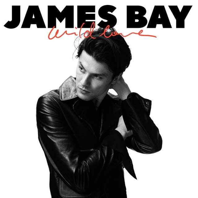 James Bay: Wild love - portada
