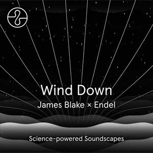 James Blake: Wind down - portada mediana