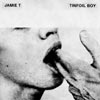 Jamie T: Tinfoil boy - portada reducida