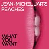 Jean-Michel Jarre: What you want - portada reducida