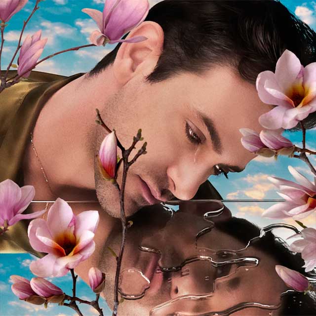 Josef Salvat: I'm sorry - portada