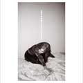 Julia Holter: Materia - portada reducida