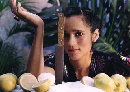 Julieta Venegas
