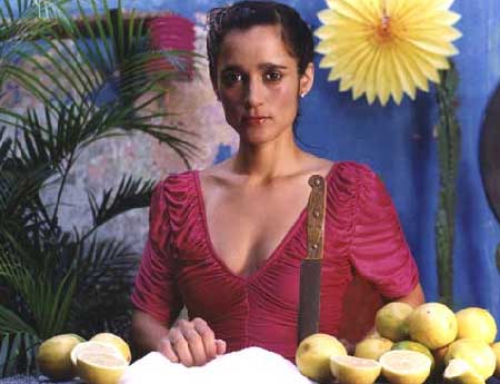 Julieta Venegas