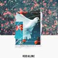 Kodaline: Saving grace - portada reducida