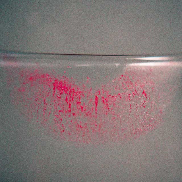 Kokoshca: Huella de ti - portada